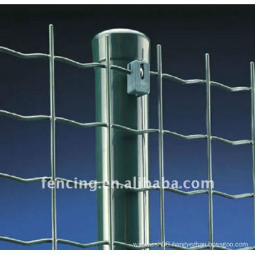 high quality of Euro Fence(factory)